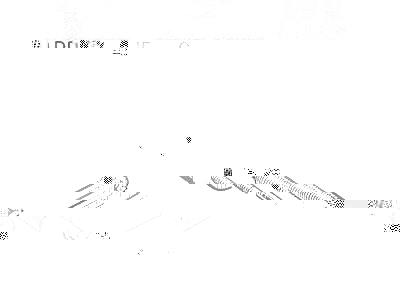 ArracheVolantZ.jpg