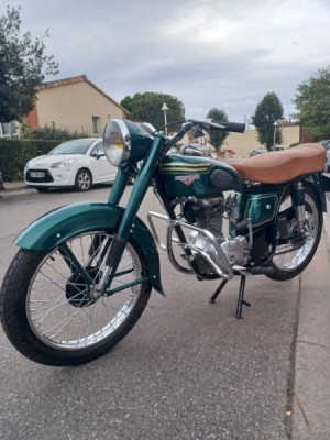 20221023_174519.jpg (80.47 Kio) Vu 18175 fois 20221023_174519.jpg